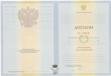 Диплом Гос. ИРЯ им. А.С. Пушкина 2010-2011 годов